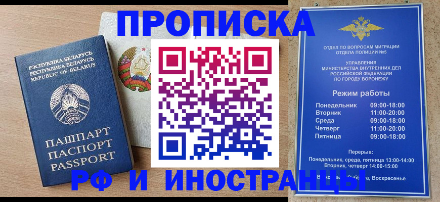 пропишу в квартире в Бородино